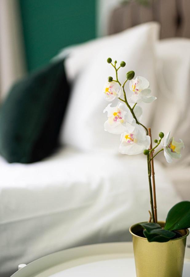 Comfortable House In Nuneaton Sleeps5 Free Parking Good Amenites Esterno foto